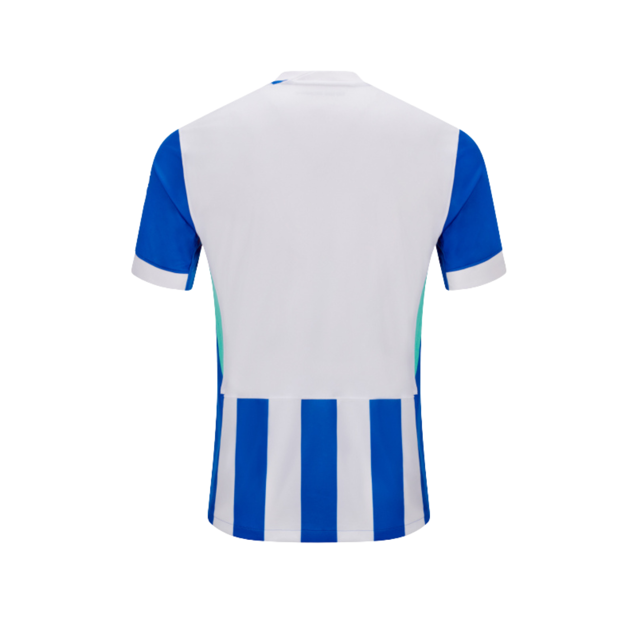 Brighton & Hove Albion 25/26  Short Sleeve Away Jersey